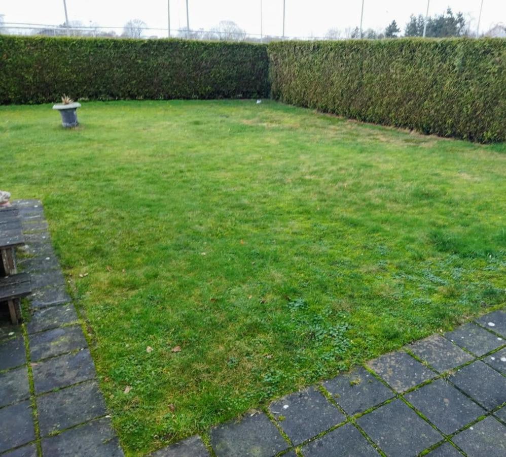 Chalet De Putter In Putten Krachtighuizen Bagian luar foto